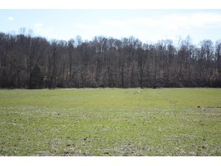 Property photo 4 - REAL ESTATE AUCTION - 366+/- ACRES OFFERED IN 5 TRACTS IN WESTERN JEFFERSON COUNTY, INDIANA